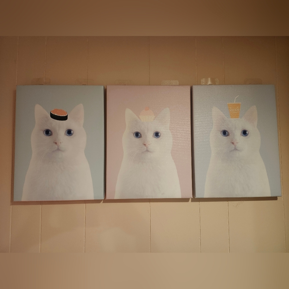 Cat Wall Decor
